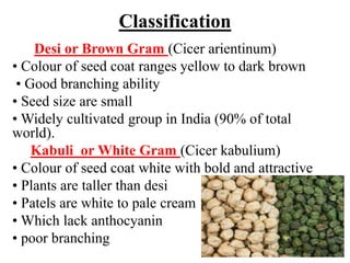 Classification
Desi or Brown Gram (Cicer arientinum)
• Colour of seed coat ranges yellow to dark brown
• Good branching ability
• Seed size are small
• Widely cultivated group in India (90% of total
world).
Kabuli or White Gram (Cicer kabulium)
• Colour of seed coat white with bold and attractive
• Plants are taller than desi
• Patels are white to pale cream
• Which lack anthocyanin
• poor branching
 