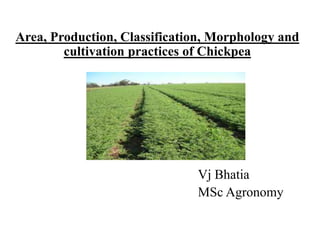 Area, Production, Classification, Morphology and
cultivation practices of Chickpea
Vj Bhatia
MSc Agronomy
 