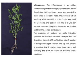 Tapioca Inflorescence chickpea.ppt