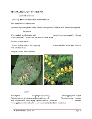  Submitted By: Raheel Rafi Page 10
ALTERNARIA BLIGHT IN CHICKPEA
General Information
caused by Alternaria alternata / Alternaria tenuis.
Seed borne and soil borne disease.
Excessive vegetative growth, close, spacing, and spreading varieties favor disease development.
Symptoms
Water-soaked, small, circular, and purple lesions surrounded by chlorotic
tissues on leaflets . Lesions later turn brown to dark brown.
The infected flowers die.
Circular, slightly sunken, and irregularly scattered lesions on the pods. Affected
pods turn dirty black.
The pods contain shrivelled seeds.
Control
Sowing late. Adopting wider spacing. Intercropping with linseed.
Avoiding excessive irrigation, and vegetative growth. Adopting compact varieties.
Seed treatment with thiram 3g kg-1or vinclozolin or Dithane M- 45 (maneb).
Foliar application of vinclozolin or carbendazim or carbendazim plus thiram.
 