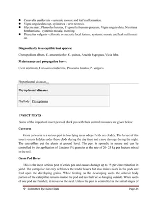  Submitted By: Raheel Rafi Page 24
 Canavalia ensiformis - systemic mosaic and leaf malformation.
 Vigna unguiculata ssp. cylindrica - vein necrosis.
 Glycine max, Phaseolus lunatus, Trigonella foenum-graecum, Vigna unguiculata, Nicotiana
benthamiana - systemic mosaic, mottling.
 Phaseolus vulgaris - chlorotic or necrotic local lesions, systemic mosaic and leaf malformati
on.
Diagnostically insusceptible host species:
Chenopodium album, C. amaranticolor, C. quinoa, Arachis hypogaea, Vicia faba.
Maintenance and propagation hosts:
Cicer arietinum, Canavalia ensiformis, Phaseolus lunatus, P. vulgaris.
Phytoplasmal diseases…
Phytoplasmal diseases
Phyllody Phytoplasma
INSECT PESTS
Some of the important insect pests of chick pea with their control measures are given below:
Cutworm
Gram cutworm is a serious pest in low lying areas where fields are cloddy. The larvae of this
insect remain hidden under these clods during the day time and cause damage during the night.
The caterpillars cut the plants at ground level. The pest is sporadic in nature and can be
controlled by the application of Lindane 6% granules at the rate of 20‐ 25 kg per hectare mixed
in the soil.
Gram Pod Borer
This is the most serious pest of chick pea and causes damage up to 75 per cent reduction in
yield. The caterpillar not only defoliates the tender leaves but also makes holes in the pods and
feed upon the developing grains. While feeding on the developing seeds the anterior body
portion of the caterpillar remains inside the pod and rest half or so hanging outside. When seeds
of one pod are finished, it moves to the next. Unless the pest is controlled in the initial stages of
 