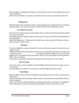  Submitted By: Raheel Rafi Page 7
Bacterial blight is widespread in field peas in Victoria, but its severity varies greatly from crop to
crop and between
seasons. Severe epidemics can result in crop failure, however, losses are usually less than 20%.
Management
Bacterial blight can be avoided by using an integrated approach to management that encompasse
s planting disease- free seed, crop rotation, variety selection and avoiding early sowing.
Use of disease free seed
This is the main control measure recommended. The use of clean seed will minimise the possibili
ty of disease, provided
the land has not been cropped to peas for several years. Do not use seed from crops identified wit
h bacterial blight
during field inspections. A field inspection should occur at mid to late pod fill. Bacteria remain v
iable on seed for at least 2 years.
Rotations
To obtain a blight-free crop, peas should not be sown on land sown to peas in the previous year o
r adjacent to pea
stubble. Where possible, peas should not be grown on the same land more than once in three year
s. If disease occurs, the rotation should be extended to once in four years.
Stubble can be a significant source of inoculum. Destroy by burying, baling or burning infected s
tubble. The survival time
of inoculum is significantly reduced by burying pea trash 10 cm below the soil surface.
Time of sowing
Early sown crops are more vulnerable to bacterial blight infection than late sown crops; never so
w earlier than
recommended for your district. In areas prone to bacterial blight avoid early sowing.
Crop damage
Bacterial blight is often associated with physical crop damage such as hail, frost, strong winds, sa
nd blasting or
machinery damage. Physical damage enables bacteria to enter the plant tissue. Minimise the use
of post emergence
sprays as the severity of bacterial blight can increase if plant tissue is damaged. Avoid paddocks
where sulfonylurea residues may be present and paddocks which are more prone to frost.
 