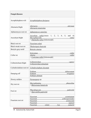  Submitted By: Raheel Rafi Page 8
Fungal diseases
Acrophialophora wilt Acrophialophora fusispora
Alternaria blight
Alternaria alternata
Alternaria tenuissima
Aphanomyces root rot Aphanomyces euteiches
Ascochyta blight
Ascochyta rabiei (races 1, 2, 3, 4, 5, and 6)
Mycosphaerella rabiei
= Didymella rabiei [teleomorph]
Black root rot Fusarium solani
Black streak root rot Thielaviopsis basicola
Botrytis gray mold Botrytis cinerea
Collar rot
Sclerotium rolfsii
Athelia rolfsii
= Corticium rolfsii [teleomorph]
Colletotrichum blight
Colletotrichum capsici
Colletotrichum dematium
Cylindrocladium root rot Cylindrocladium clavatum
Damping-off
Pythium debaryanum
Pythium irregulare
Pythium ultimum
Downy mildew Peronospora sp.
Dry root rot
Macrophomina phaseolina
= Rhizoctonia bataticola
Foot rot
Phacidiopycnis padwickii
= Operculella padwickii
Fusarium root rot
Fusarium acuminatum
Fusarium arthrosporioides
Fusarium avenaceum
Fusarium equiseti
Fusarium solani f.sp. eumartii
 