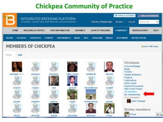 Chickpea Community of Practice
 