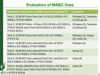 Evaluation of MABC lines
Replicated yield trials on MABC lines during 2013/14 Locations
Trial 1: 22 BC3F5 lines from Set-2 of (ICCV 93954 x ICC
4958) x 3*ICCV 93954
Ethiopia (1), Tanzania
(1) Kenya (2)
Trial 2: 10 BC3F5 lines – 8 from ICCV 92318 x ICC 8261) x
3*ICCV 92318 and 2 from (ICCV 92311 x ICC 8261) x
3*ICCV 92311
Ethiopia (1), Tanzania
(1) Kenya (2)
Trial 3: 25 BC3F5 lines from (ICCV 10 x ICC 4958) x
3*ICCV 10
Ethiopia (1), Kenya
(2), India (4)
Trial 4: 13 BC3F5 lines selected from Set I of (ICCV
93954 x ICC 4958) x 3*ICCV 93954
Ethiopia (2)
Trial 4: 10 BC3F5 lines selected from Set I of (ICCV
93954 x ICC 4958) x 3*ICCV 93954
Kenya (1)
Trial 5: 20 BC3F5 lines selected from Set I and Set II of
(ICCV 93954 x ICC 4958) x 3*ICCV 93954
India (4)
Trial 6: 16 NILs (BC6F4) from (ICCV 92311 x ICC 8261) x
6*ICCV 92311 and 7 NILs from (ICCV 92318 x ICC 8261)
x 6*ICCV 92318
India (4)
 