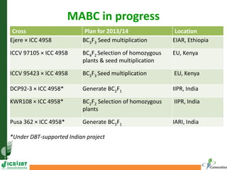 MABC in progress
Cross Plan for 2013/14 Location
Ejere × ICC 4958 BC3F3 Seed multiplication EIAR, Ethiopia
ICCV 97105 × ICC 4958 BC4F2 Selection of homozygous
plants & seed multiplication
EU, Kenya
ICCV 95423 × ICC 4958 BC3F3 Seed multiplication EU, Kenya
DCP92-3 × ICC 4958* Generate BC2F1 IIPR, India
KWR108 × ICC 4958* BC2F2 Selection of homozygous
plants
IIPR, India
Pusa 362 × ICC 4958* Generate BC3F1 IARI, India
*Under DBT-supported Indian project
 