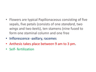 • Flowers are typical Papilionaceous consisting of five
sepals, five petals (consists of one standard, two
wings and two keels), ten stamens (nine fused to
form one staminal column and one free
• Inflorescence -axillary, racemes
• Anthesis takes place between 9 am to 3 pm.
• Self- fertilization
 