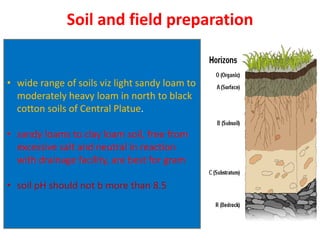 Soil and field preparation
• wide range of soils viz light sandy loam to
moderately heavy loam in north to black
cotton soils of Central Platue.
• sandy loams to clay loam soil, free from
excessive salt and neutral in reaction
with drainage facility, are best for gram
• soil pH should not b more than 8.5
 