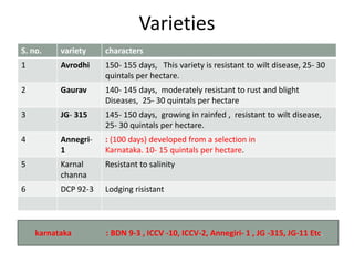 Varieties
S. no. variety characters
1 Avrodhi 150‐ 155 days, This variety is resistant to wilt disease, 25‐ 30
quintals per hectare.
2 Gaurav 140‐ 145 days, moderately resistant to rust and blight
Diseases, 25‐ 30 quintals per hectare
3 JG‐ 315 145‐ 150 days, growing in rainfed , resistant to wilt disease,
25‐ 30 quintals per hectare.
4 Annegri‐
1
: (100 days) developed from a selection in
Karnataka. 10‐ 15 quintals per hectare.
5 Karnal
channa
Resistant to salinity
6 DCP 92-3 Lodging risistant
karnataka : BDN 9-3 , ICCV -10, ICCV-2, Annegiri- 1 , JG -315, JG-11 Etc.
 