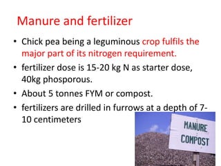 Manure and fertilizer
• Chick pea being a leguminous crop fulfils the
major part of its nitrogen requirement.
• fertilizer dose is 15-20 kg N as starter dose,
40kg phosporous.
• About 5 tonnes FYM or compost.
• fertilizers are drilled in furrows at a depth of 7‐
10 centimeters
 