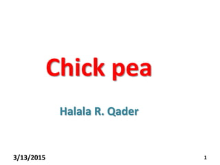 13/13/2015
Chick pea
Halala R. Qader
 