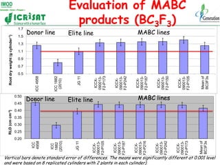 Evaluation of MABC
                                                                      products (BC3F3)
                ...