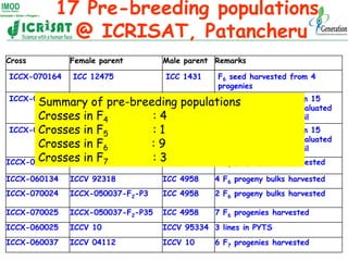 17 Pre-breeding populations
            @ ICRISAT, Patancheru
Cross         Female parent        Male parent Remarks

ICCX...