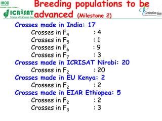 Breeding populations to be
     advanced (Milestone 2)
Crosses made in India: 17
     Crosses in F4       :4
     Crosses ...