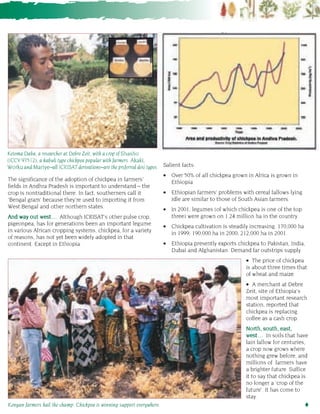 Chickpea the champion  charging ahead, changing lives