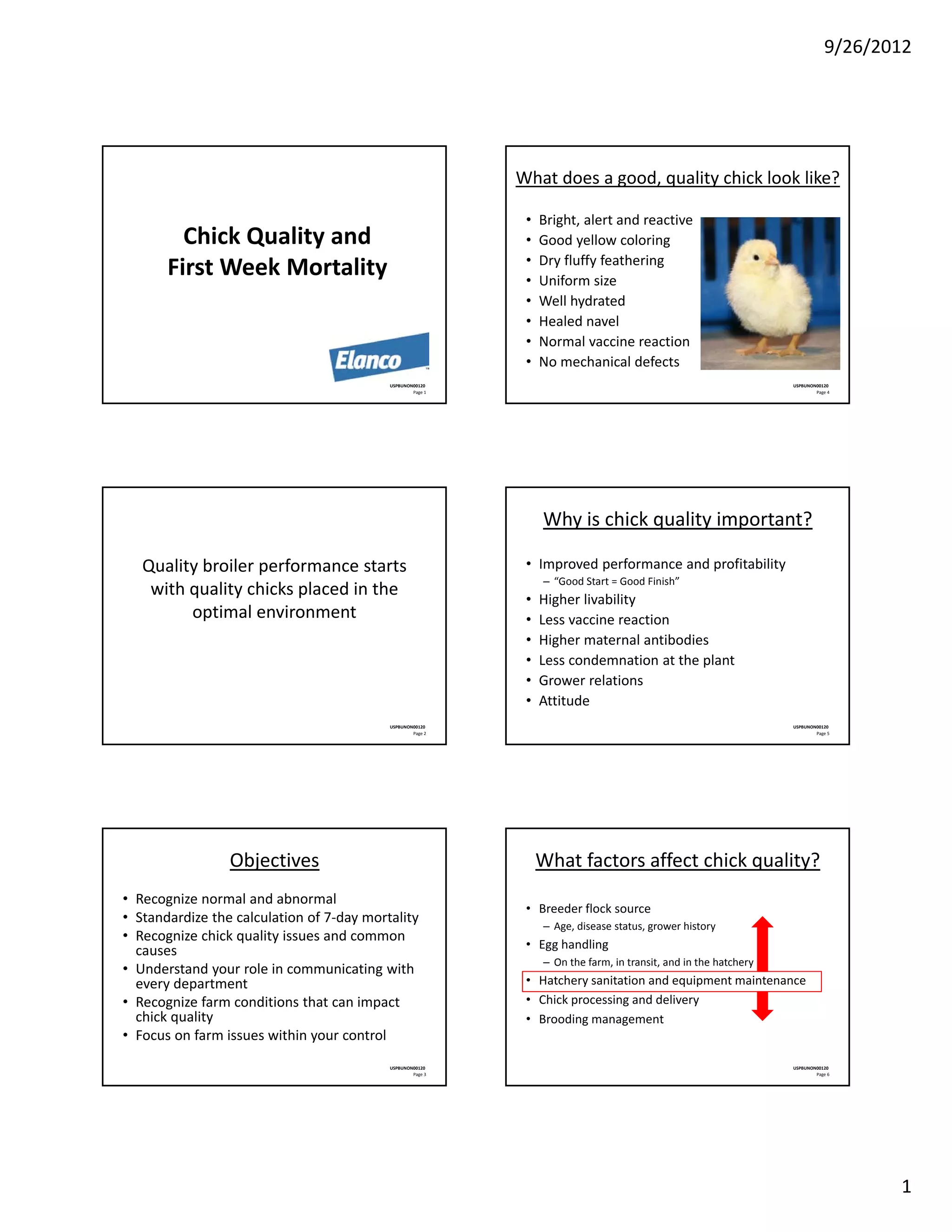 Chick Defects Chick quality and firstweek mortality | PDF