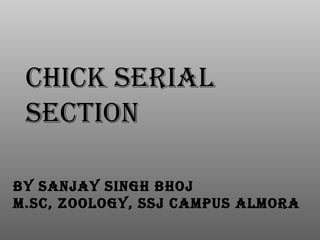 BY SANJAY SINGH BHOJ
M.SC, ZOOLOGY, SSJ CAMPUS ALMORA
CHICK SERIAL
SECTION
 
