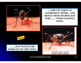 …..THE VECTOR IS AN
                                     AGGRESSIVE BITER…AND
                                     MOSTLY BITES DURING DAY
                                     TIME……. WITH A PAINFUL
                                              STING.




 ……..JUST WATCH THE
     JUST
FEROCITY OF THE STING


                Dr.G.C.Sahu/ROH&FW/GoI/Ahmedabad
                Dr.G.C.Sahu/ROH&FW/GoI/Ahmedabad           20
 