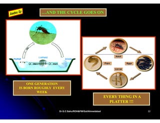 …AND THE CYCLE GOES ON




    ONE GENERATION
IS BORN ROUGHLY EVERY
         WEEK
                                                     EVERY THING IN A
                                                       PLATTER !!!

                  Dr.G.C.Sahu/ROH&FW/GoI/Ahmedabad
                  Dr.G.C.Sahu/ROH&FW/GoI/Ahmedabad                      22
 