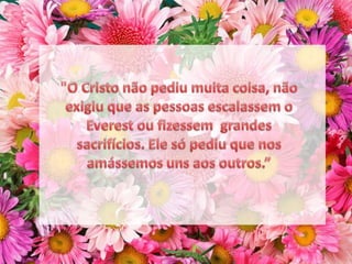 "O Cristo não pediu muita coisa, não exigiu que as pessoas escalassem o Everest ou fizessem  grandes sacrifícios. Ele só pediu que nos amássemos uns aos outros.”