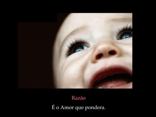 Razão   É o Amor que pondera.  
