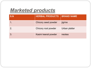 Marketed products
S.N HERBAL PRODUCTS BRAND NAME
1. Chicory seed powder jigrine
2. Chicory root powder Urban platter
3. Kasini keeral powder neotea
 
