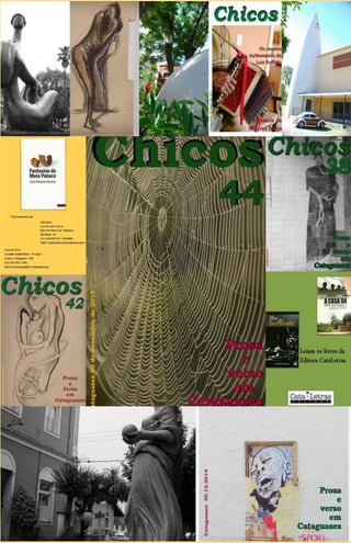 Chicos 44