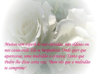 Muitos iam esperá-lo nas estradas, nas aldeias ou
nas casas onde Ele se hospedava. Onde quer que
aparecesse, uma multidão o cercava. Tanto que
Pedro lhe disse certa vez: "Bem vês que a multidão
te comprime".
 