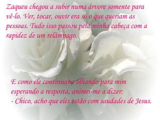 Zaqueu chegou a subir numa árvore somente para
vê-lo. Ver, tocar, ouvir era só o que queriam as
pessoas. Tudo isso passou pela minha cabeça com a
rapidez de um relâmpago.
E como ele continuava olhando para mim
esperando a resposta, animei-me a dizer:
- Chico, acho que eles estão com saudades de Jesus.
 
