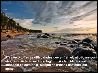 Agradeço todas as dificuldades que enfrentei; não fosse por elas,  eu não teria saído do lugar...  As facilidades nos impedem de caminhar. Mesmo as críticas nos auxiliam muito. 