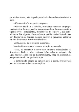 em muitos casos, não se pode prescindir da colaboração dos ani-
mais.
– Como assim? - perguntei, surpreso.
– Os cães facilitam o trabalho, os muares suportam cargas pa-
cientemente e fornecem calor nas zonas onde se faça necessário; e
aquelas aves - acrescentou, indicando-as no espaço -, que deno-
minamos íbis viajores, são excelentes auxiliares dos Samaritanos,
por devorarem as formas mentais odiosas e perversas, entrando
em luta franca com as trevas umbralinas.
Vinha, agora, mais próxima a caravana.
Narcisa fixou-me com bondosa atenção, rematando:
– Mas, no momento, o dever não comporta minudências in-
formativas. Poderá colher valiosas lições sobre os animais, não
aqui, mas no Ministério do Esclarecimento, onde se localizam os
parques de estudo e experimentação.
E distribuindo ordens de serviço, aqui e acolá, preparava-se
para receber novos doentes do espírito.
 