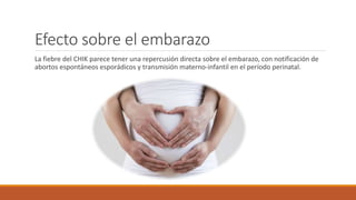 Efecto sobre el embarazo
La fiebre del CHIK parece tener una repercusión directa sobre el embarazo, con notificación de
abortos espontáneos esporádicos y transmisión materno-infantil en el período perinatal.
 