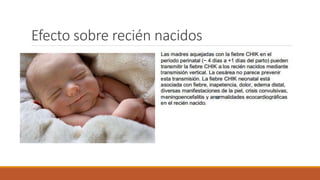 Efecto sobre recién nacidos
 