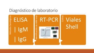 Diagnóstico de laboratorioMétodosSerológicos
ELISA
| IgM
| IgG
IdentificacióndeARNviral
RT-PCR
Cultivo
Viales
Shell
 