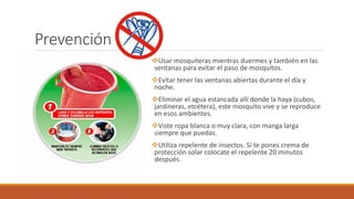 Prevención
Usar mosquiteras mientras duermes y también en las
ventanas para evitar el paso de mosquitos.
Evitar tener las ventanas abiertas durante el día y
noche.
Eliminar el agua estancada allí donde la haya (cubos,
jardineras, etcétera), este mosquito vive y se reproduce
en esos ambientes.
Viste ropa blanca o muy clara, con manga larga
siempre que puedas.
Utiliza repelente de insectos. Si te pones crema de
protección solar colocate el repelente 20 minutos
después.
 