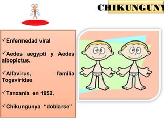 Enfermedad viral
Aedes aegypti y Aedes
albopictus.
Alfavirus, familia
Togaviridae
Tanzania en 1952.
Chikungunya “doblarse”
CHIKUNGUNY
 