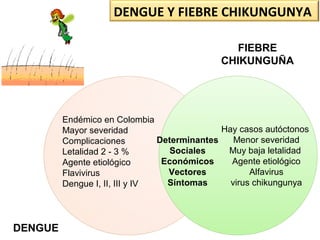 Determinantes
Sociales
Económicos
Vectores
Síntomas
Endémico en Colombia
Mayor severidad
Complicaciones
Letalidad 2 - 3 %
Agente etiológico
Flavivirus
Dengue I, II, III y IV
Hay casos autóctonos
Menor severidad
Muy baja letalidad
Agente etiológico
Alfavirus
virus chikungunya
DENGUE
FIEBRE
CHIKUNGUÑA
DENGUE Y FIEBRE CHIKUNGUNYA
 