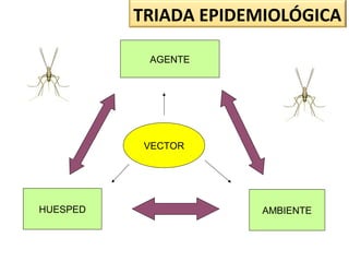 HUESPED
AGENTE
AMBIENTE
VECTOR
TRIADA EPIDEMIOLÓGICA
 