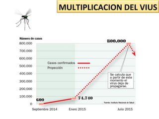 MULTIPLICACION DEL VIUS
 