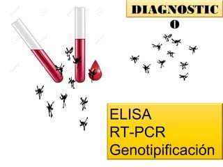 DIAGNOSTIC
O
ELISA
RT-PCR
Genotipificación
 