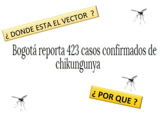 ¿ POR QUE ?
¿ DONDE ESTA EL VECTOR ?
 