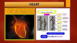 HEART
 “Ponnambalam ” is placed slightly tilted towards the left.
 This represents our Heart. To reach this, we need to climb
5 steps called “Panchatshara padi ”
“Si, Va, Ya, Na, Ma ” are the 5 Panchatshara mantras.
 
