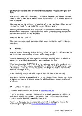 growth (imagine a forest after it rained and the sun comes out again: they grow a lot
then).

The bags are carried into the growing room, the top is opened and water is sprayed
on with a hose. (Never add any water during the incubation.) From now on, water the
bags every day!

If the bags are too dry, put them into water for a few hours and they will take as much
water as they need! The top part of the bag should never go dry.

A few days later mushrooms start popping out. Sometimes this happens naturally,
without human intervention – in this case, one needs to begin watering immediately
because otherwise the bag will dehydrate.

Important: No direct sunlight!

If the mushrooms develop brown spots, this is a sign of either too much wind or too
much light.


9.    Harvest

The best time for harvesting is in the morning. Water the bags AFTER the harvest, as
the mushrooms would soak up too mush water, losing quality.

Keep the floor clean at any time! Make sure that after watering, all surplus water is
swept away to avoid slimy moulds from growing all over the floor.

When harvesting, take EVERYTHING of the mushroom out. In other words, do not
cut the mushroom stem, leaving a piece behind (it will begin fouling after a few days)
– but also do not take out chunks of substrate (creating holes that will fill with water
and then also begin fouling).

When harvesting, always start with the good bags and then do the bad bags.

Mushrooms keep for 1-2 weeks in the fridge. If you have excess production and want
to dry the mushrooms, do it in the shade. No additional heat is needed, just free air
circulation.


10.    Links and literature

Our seeds were bought via the internet on www.shii-take.de

Chido recommends the author Paul Stamets (e.g. Growing Gourmet and Medicinal
Mushrooms; Mushroom Cultivator: A Practical Guide to Growing Mushrooms at
Home; Mycelium Running) – available on Amazon.

Feel free to share your experiences and interact with all participants through the
mushroom-growing forum on www.community.blueeconomy.de.



                                                               © 2010 ZERI Germany e.V.
 
