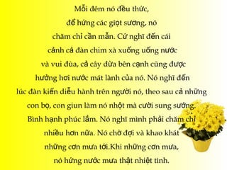 Mỗi đêm nó đều thức,
              để hứng các giọt sương, nó
          chăm chỉ cần mẫn. Cứ nghĩ đến cái
         cảnh cả đàn chim xà xuống uống nước
       và vui đùa, cả cây dừa bên cạnh cũng được
     hưởng hơi nước mát lành của nó. Nó nghĩ đến
lúc đàn kiến diễu hành trên người nó, theo sau cả những
   con bọ, con giun làm nó nhột mà cười sung sướng.
   Bình hạnh phúc lắm. Nó nghĩ mình phải chăm chỉ
       nhiều hơn nữa. Nó chờ đợi và khao khát
        những cơn mưa tới.Khi những cơn mưa,
          nó hứng nước mưa thật nhiệt tình.
 