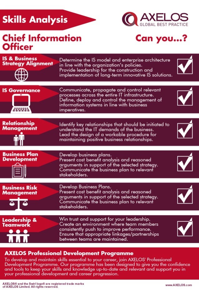 Chief Information Officer Skills Analysis