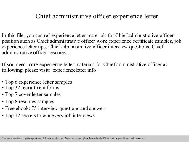 Chief administrative officer experience letter