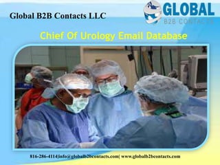 Chief Of Urology Email Database
Global B2B Contacts LLC
816-286-4114|info@globalb2bcontacts.com| www.globalb2bcontacts.com
 