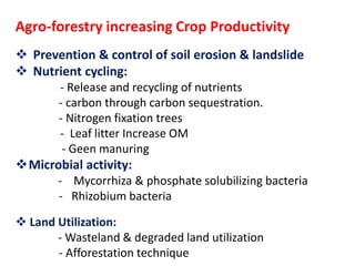 Role of agroforestry in augmenting crop productivity | PPTX