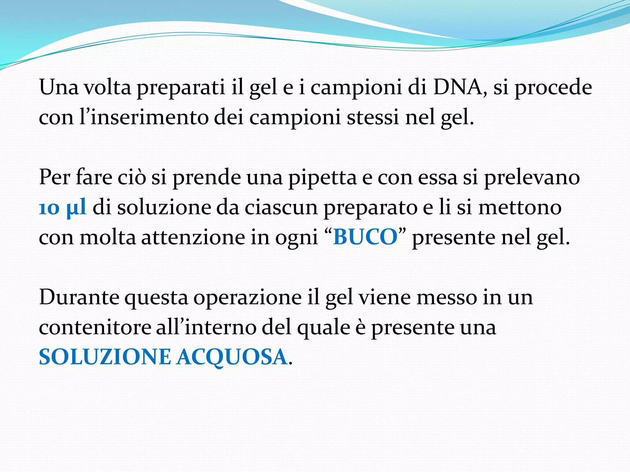 I Dodici Giurati Chi E Il Colpevole Chi e' il colpevole? | PPTX