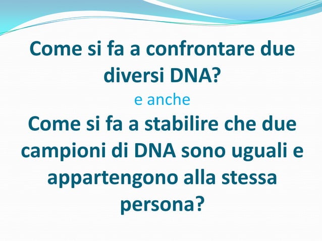 I Dodici Giurati Chi E Il Colpevole Chi e' il colpevole? | PPTX